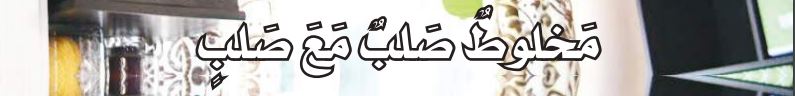 مخلوط صلب مع صلب
